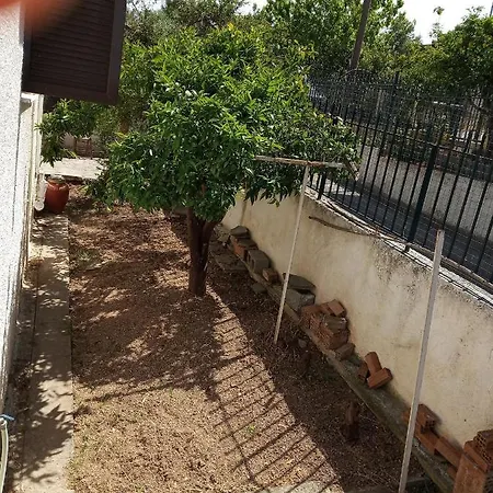 Sea View Dilesi